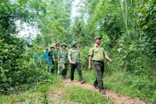 Hướng dẫn tuyên truyền các chủ trương, đường lối của Đảng về quản lý, bảo vệ và phát triển rừng