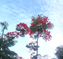 Tháng tư